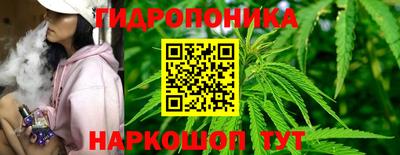 тгк Кандалакша