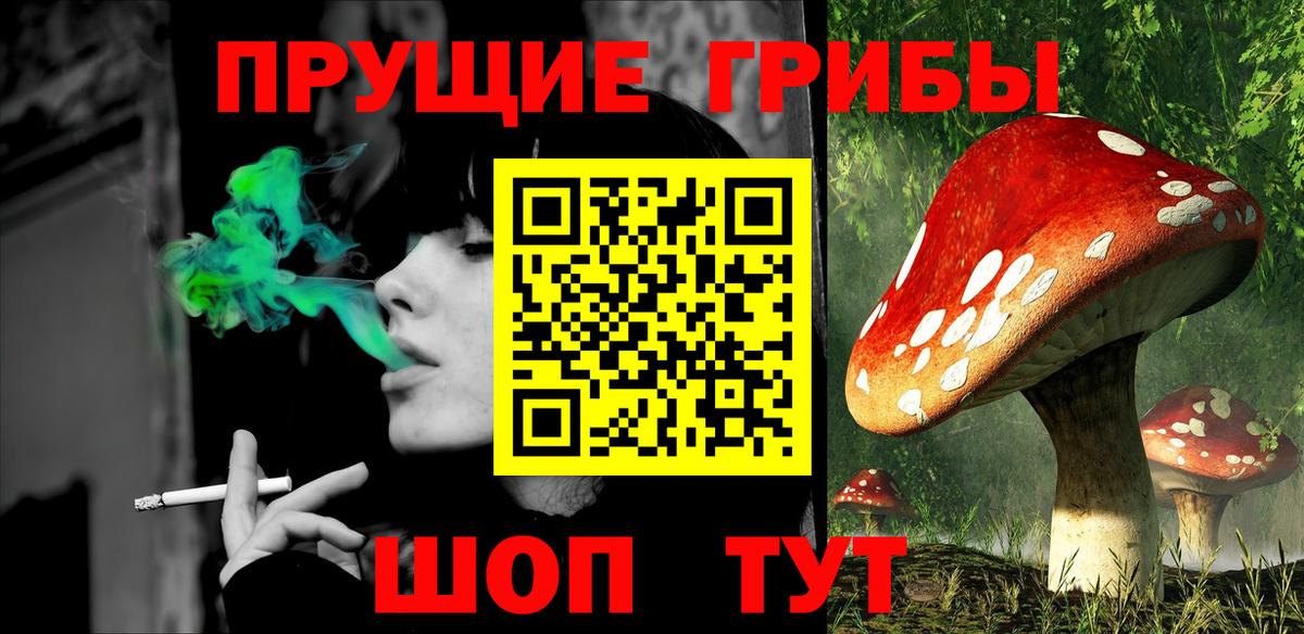 Галлюциногенные грибы Psilocybine cubensis Куйбышев