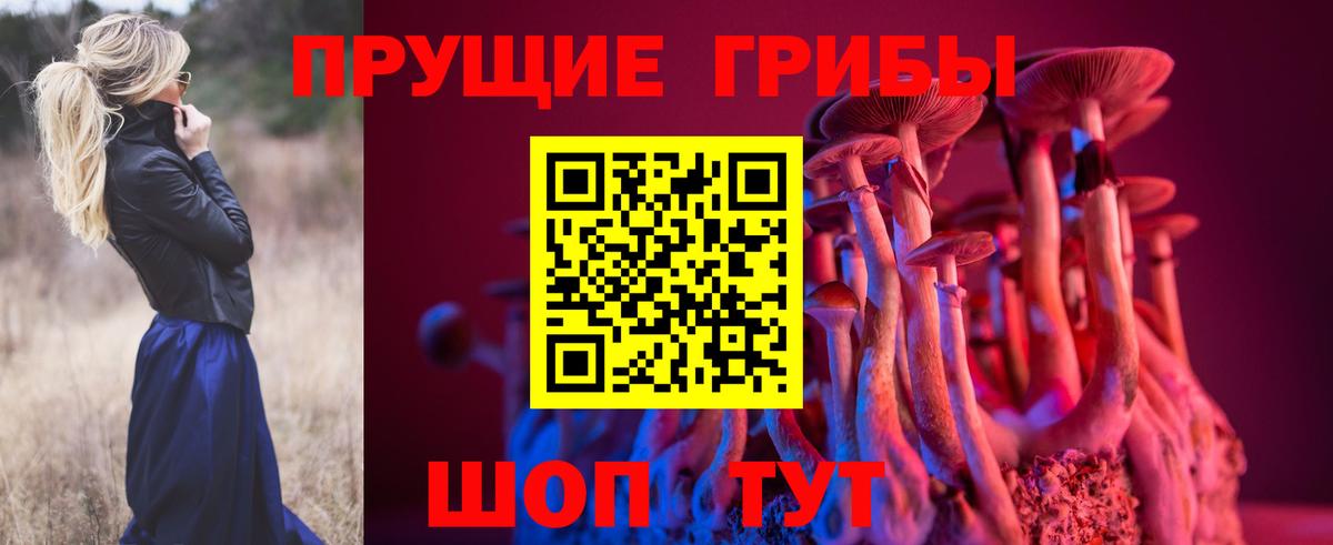 Псилоцибиновые грибы MAGIC MUSHROOMS  Вход с VPN  Куйбышев 